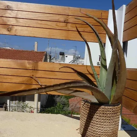 Dikastiria Terrace